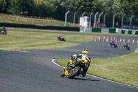 Middle Group Yellow Bikes